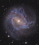M83  Southern Pinwheel