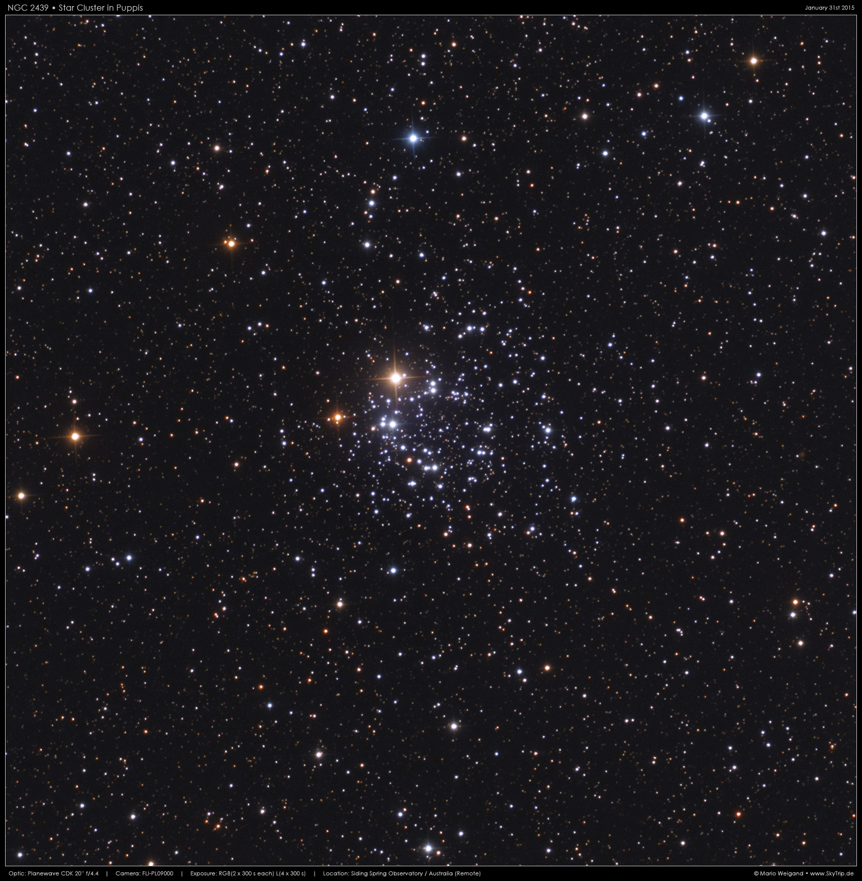 NGC 2439 in Puppis