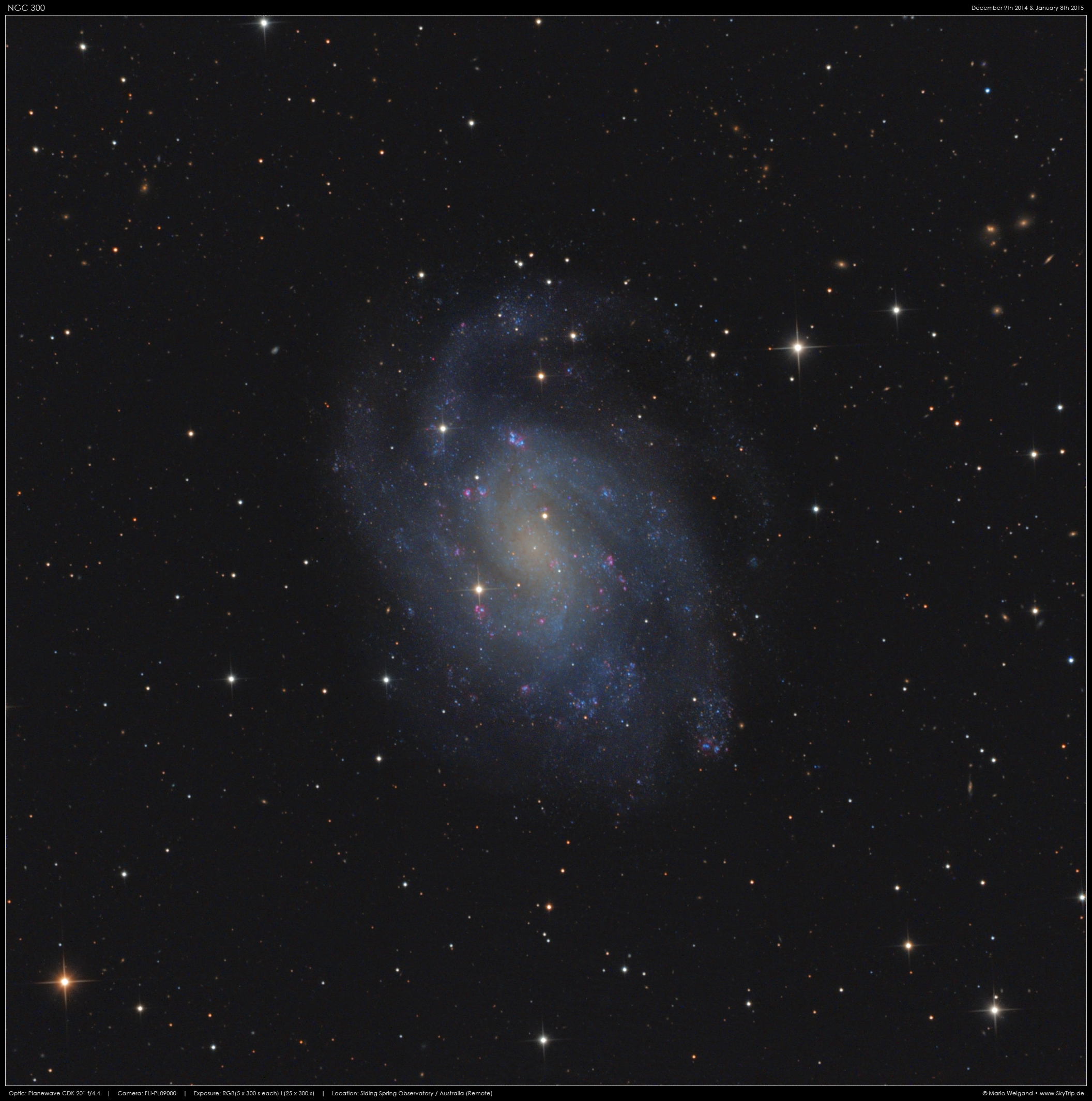 NGC 300 im Sternbild Bildhauer