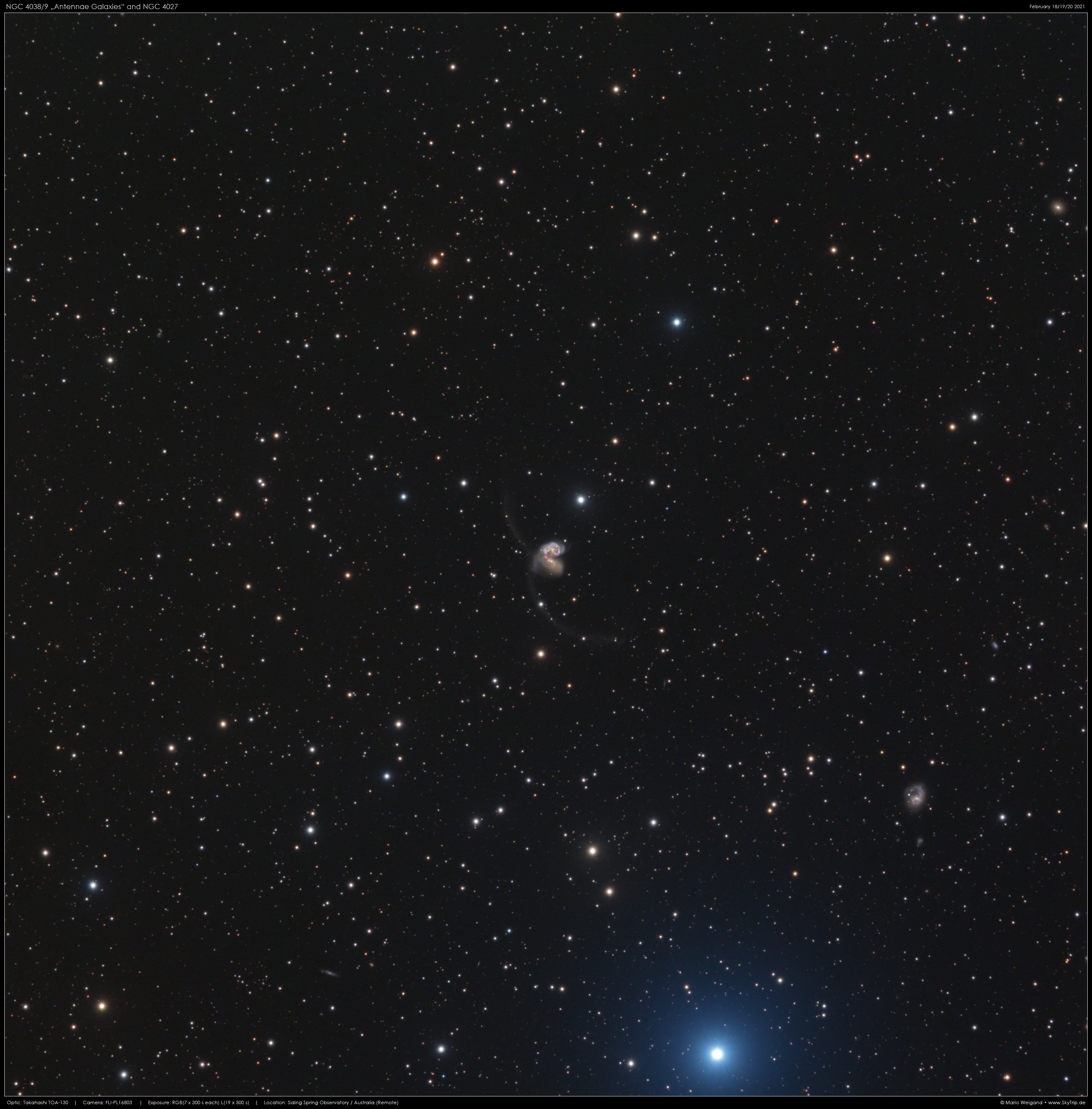 Die Antennengalaxien NGC 4038/9 & NGC 4027
