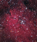NGC 6820/23 im Fchslein