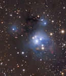 NGC 7129  Reflexionsnebel im Cepheus