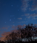 Sternbild Orion am Frhlingshimmel