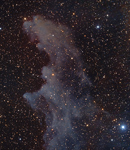 Der Hexenkopfnebel NGC 1909/IC 2118