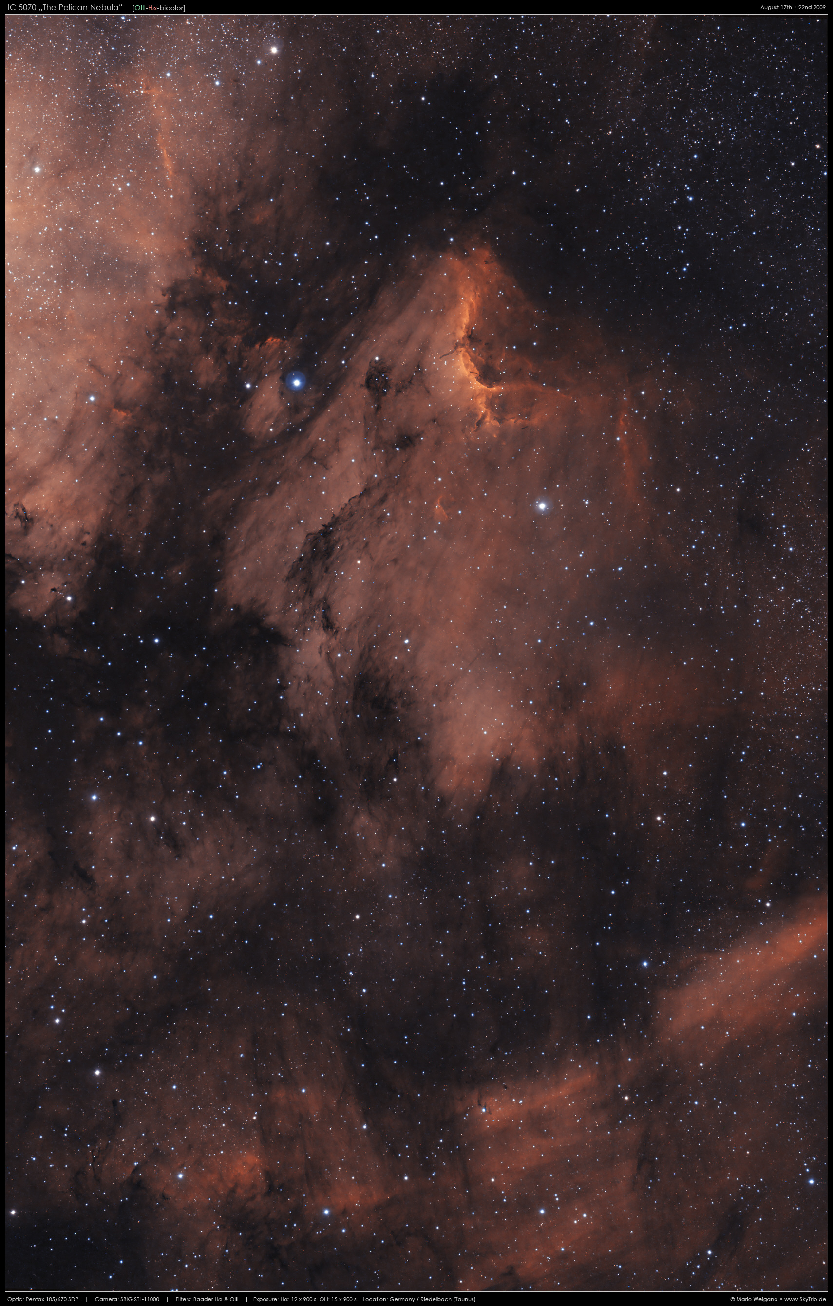 Pelikannebel IC 5070 Bicolor II