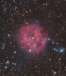 Der Kokonnebel IC 5146