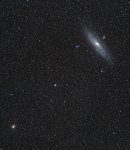Die Andromeda-Galaxie schwebt im Sternenmeer