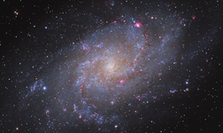 Die Triangulum-Galaxie Messier 33