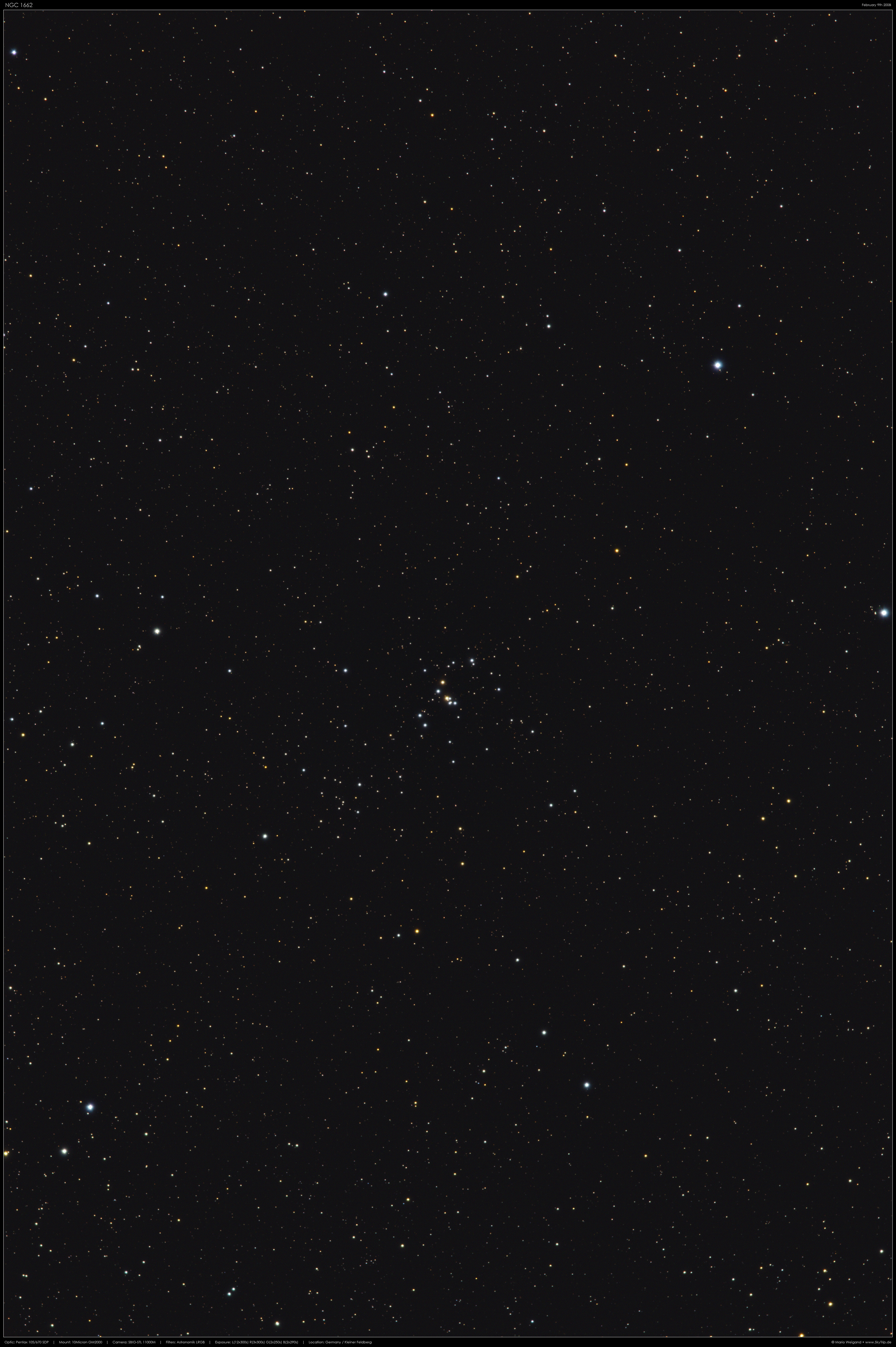 Sternhaufen NGC 1662