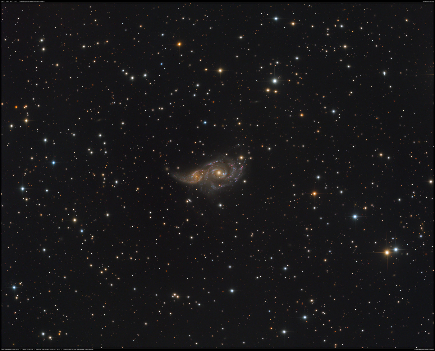 Fiddlehead Galaxy NGC 772
