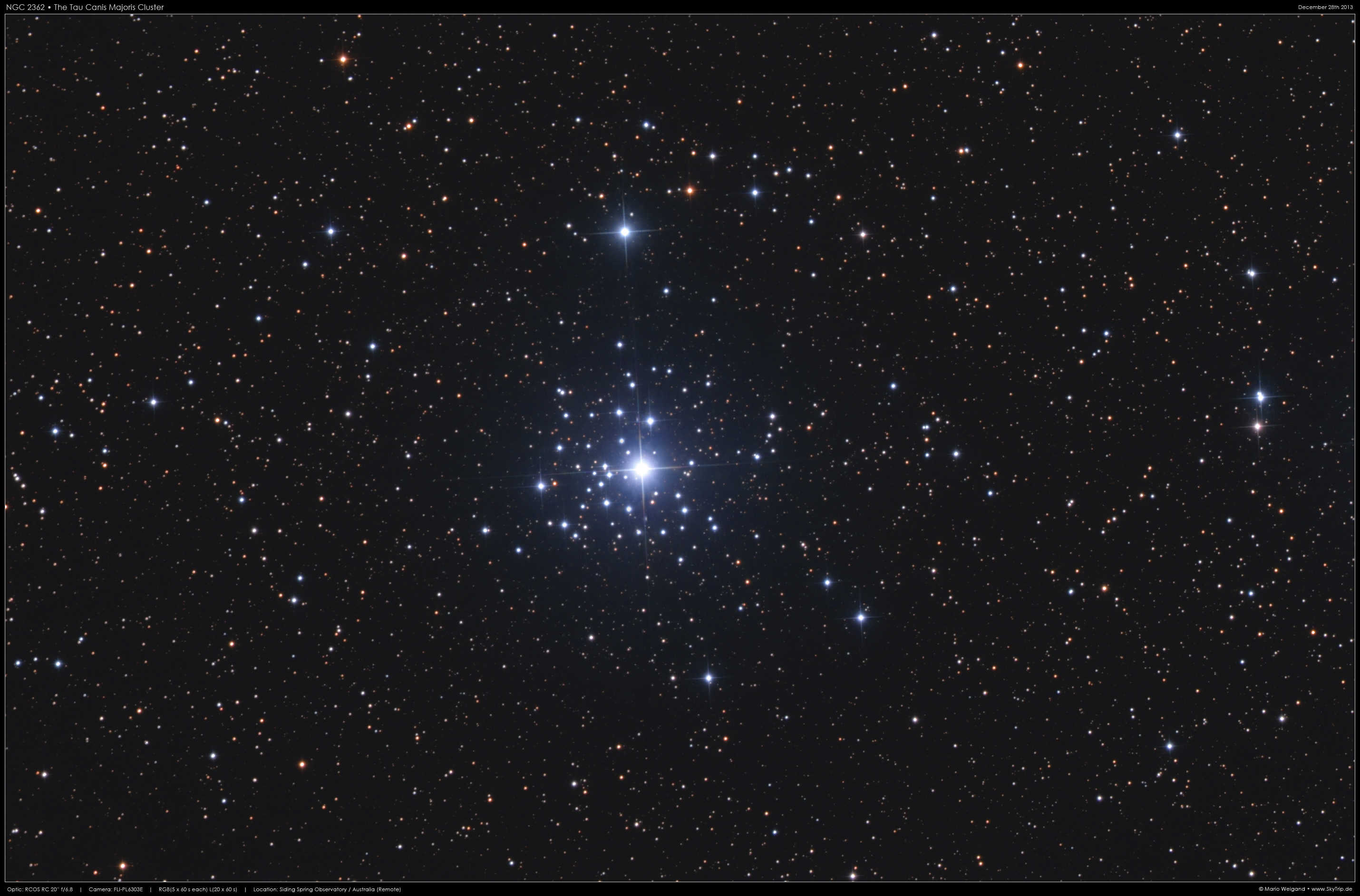 NGC 2362 Tau Canis Majoris Cluster