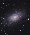 Spiralgalaxie NGC 2403 im Sternbild Giraffe