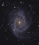 NGC 2997 im Sternbild Antila