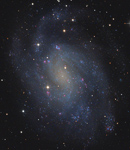 NGC 300 im Sternbild Bildhauer