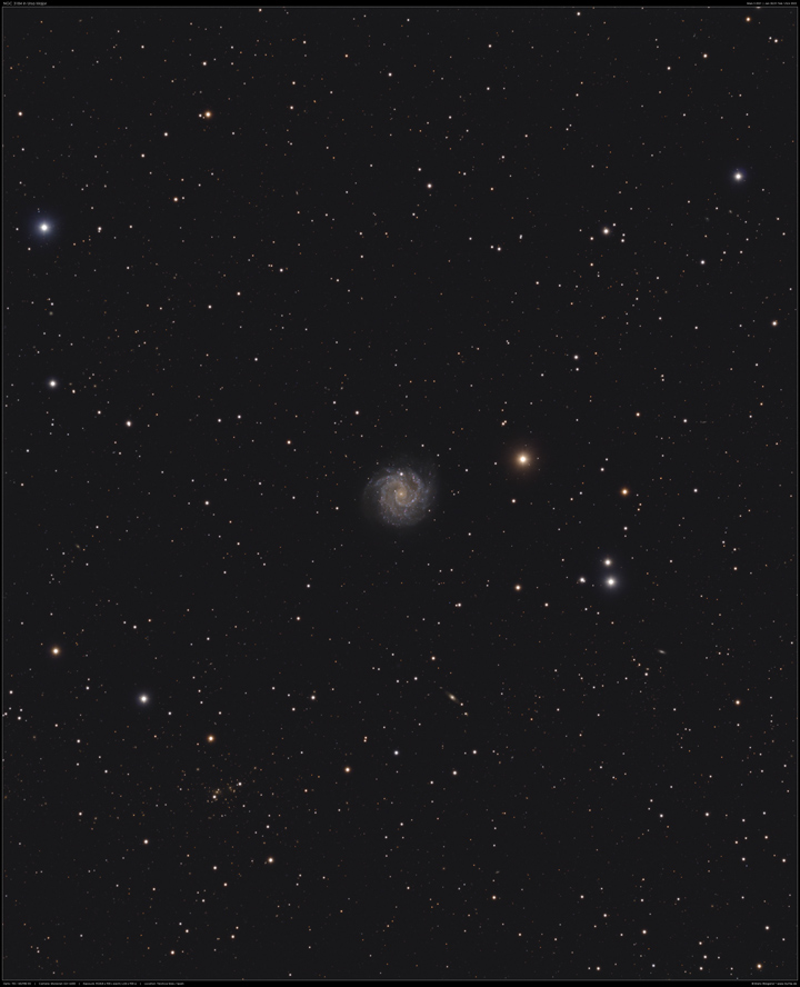 Balkenspirale NGC 3184 in Ursa Major