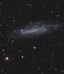 Spiralgalaxie NGC 4236 im Drache