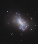 Irregular Galaxy NGC 4449