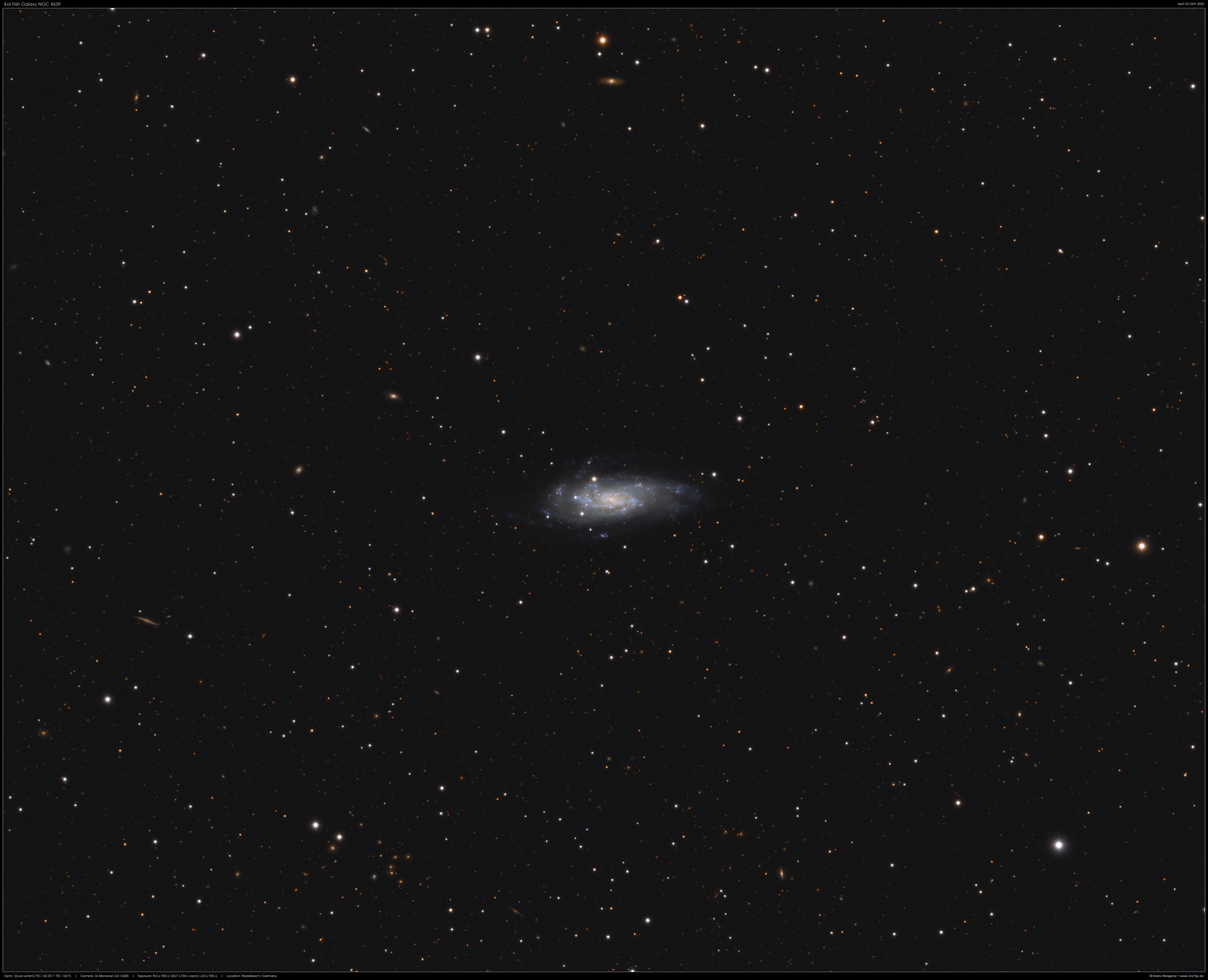 Koi Fish Galaxy NGC 4559