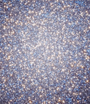 NGC 5139 • Omega Centauri