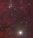 NGC 6910 bei γ Cygni