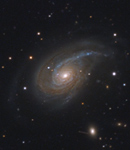 Fiddle Head Galaxy NGC 772
