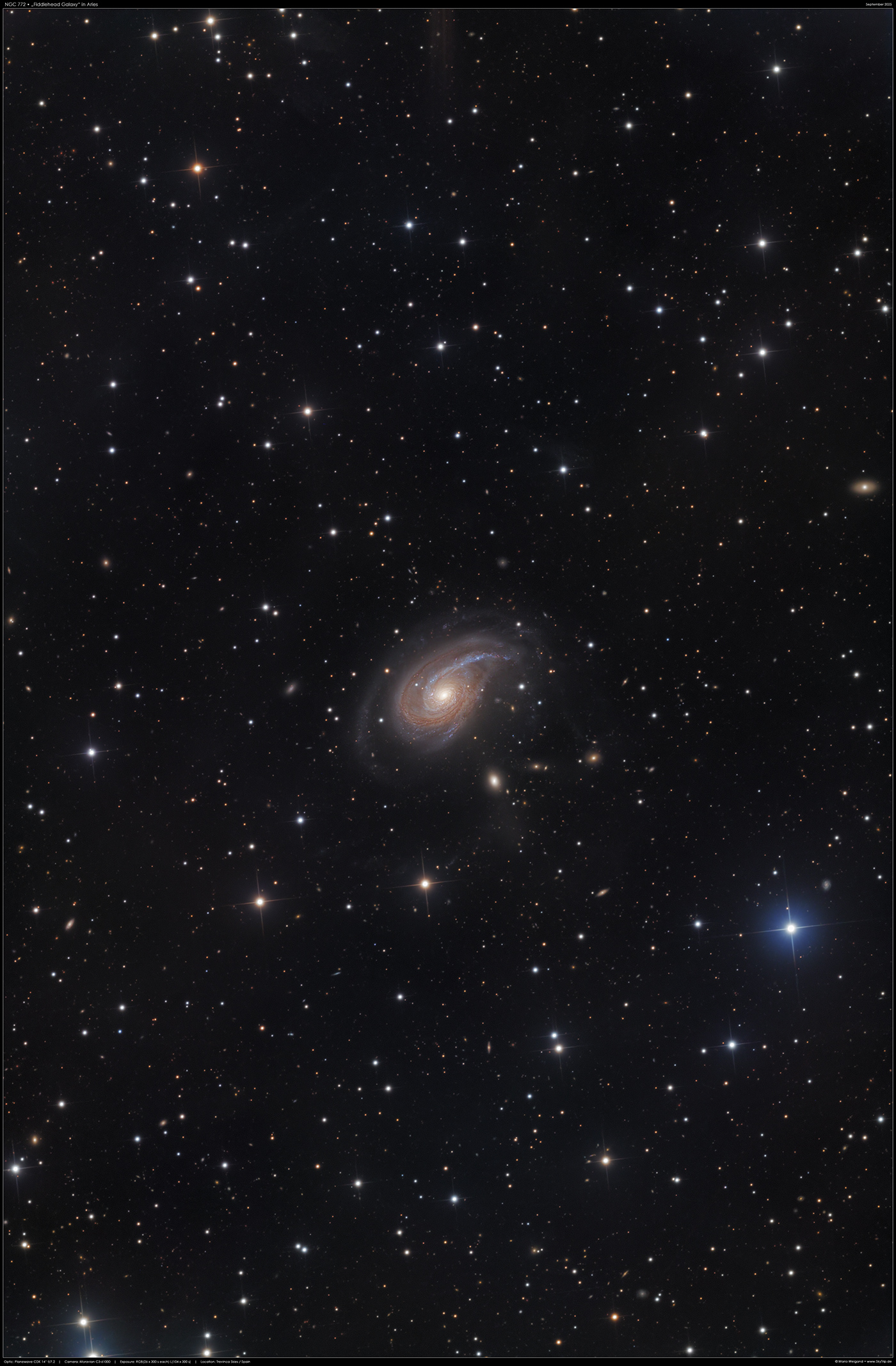 Fiddlehead Galaxy NGC 772