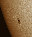 Sonnenfleck NOAA 11084 eingefrbt