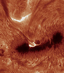 Flare (C1.3) in NOAA 11302